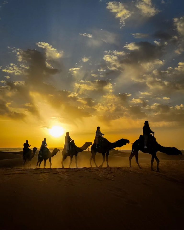 Camel ride