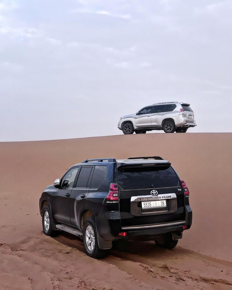Desert tours